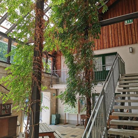Landhotel Schaferhof Langenstein 外观 照片